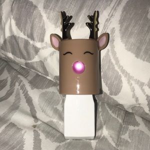 Reindeer wallflower plug